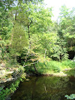 the watering hole at the bottom of Hayes Canyon (fed by two branches of Hayes Creek, hence the 