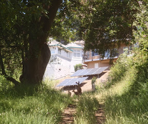 The El Cerrito Hillside Natural Area -- 80 acres of remarkable wilds in the city.