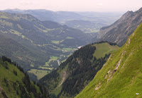 CIMG3442.JPG Photo