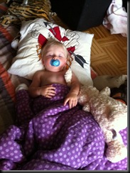 IMG_1808 IMG_1808