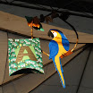 DecoracaoBarraquinha2011-13.JPG