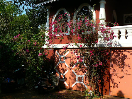 Goa: Villa marbella