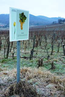 Sentier croix bleue ou l'apologie du vin