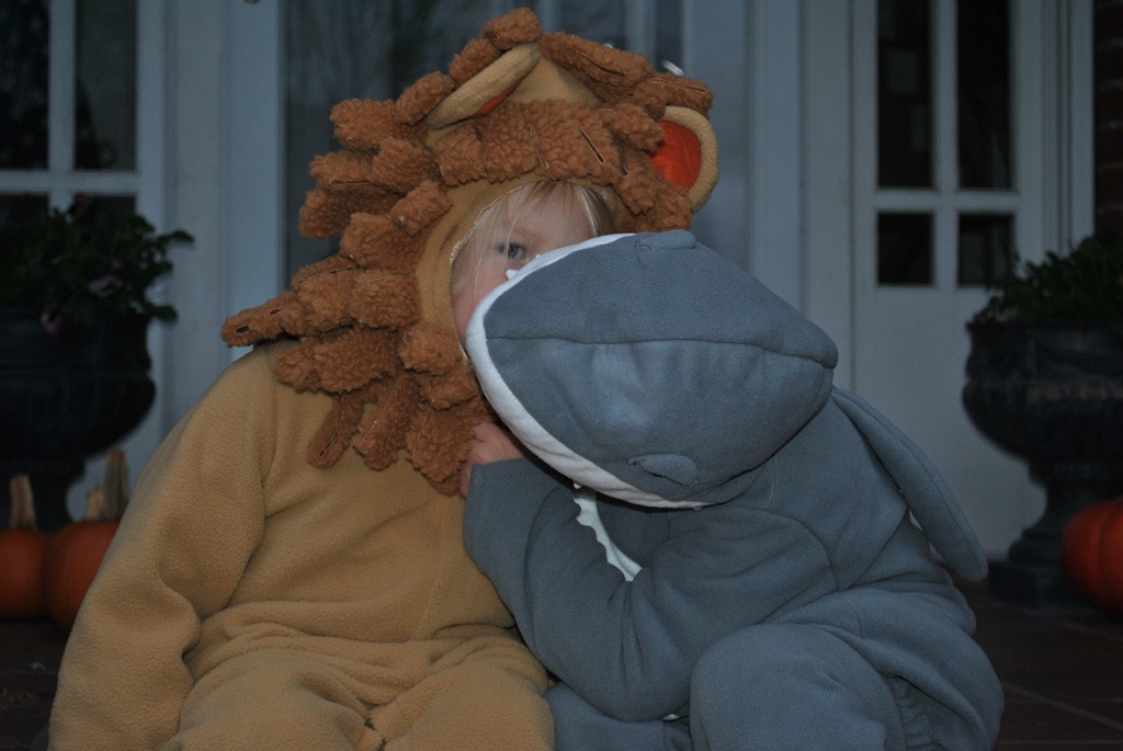 [DSC_0742%255B3%255D.jpg]