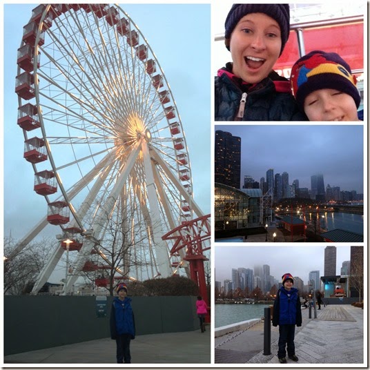 ferris wheel on navy pier