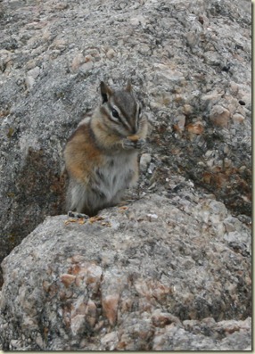 IMG_8816 IMG_8816