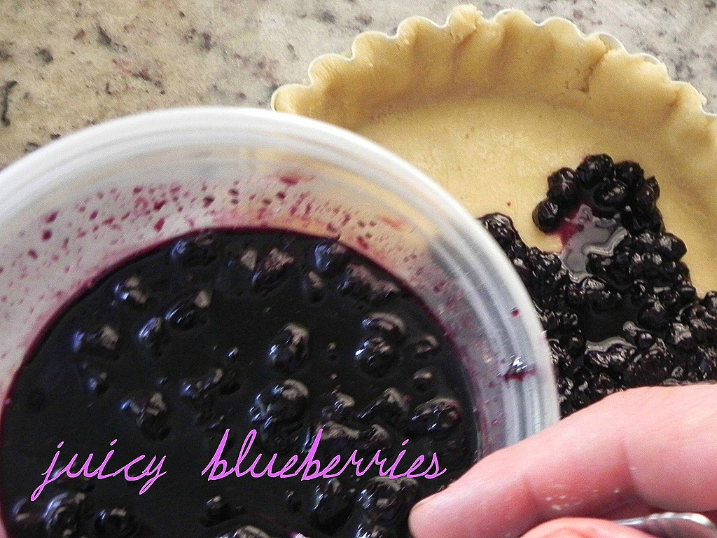 [blueberries4%255B6%255D.jpg]