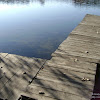 dsc05913.jpg