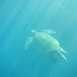 11夏威夷Maui