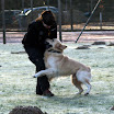 DSC09303.JPG