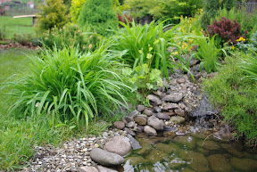 FŐOLDAL: http://www.gardenproiect.ro