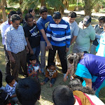 PICNIC_3895.JPG