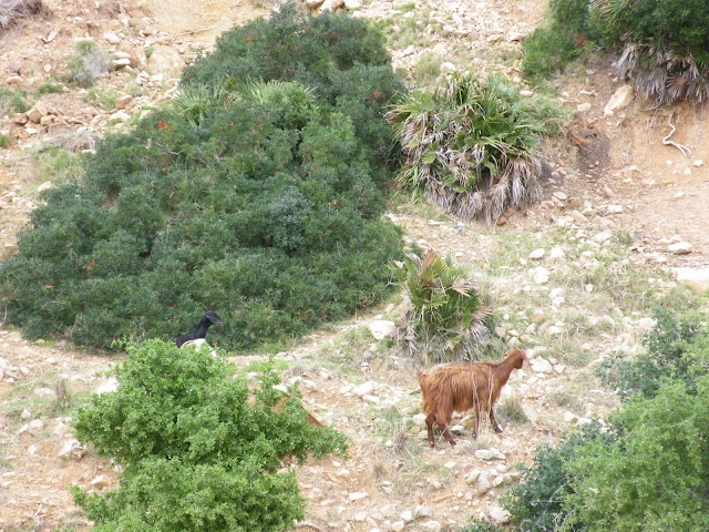 Tunesien2009-0630.JPG
