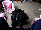 DSCF8401.JPG