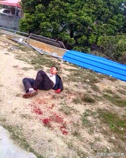 [10390336_805838429482870_2586378008787225047_n%255B2%255D.jpg]