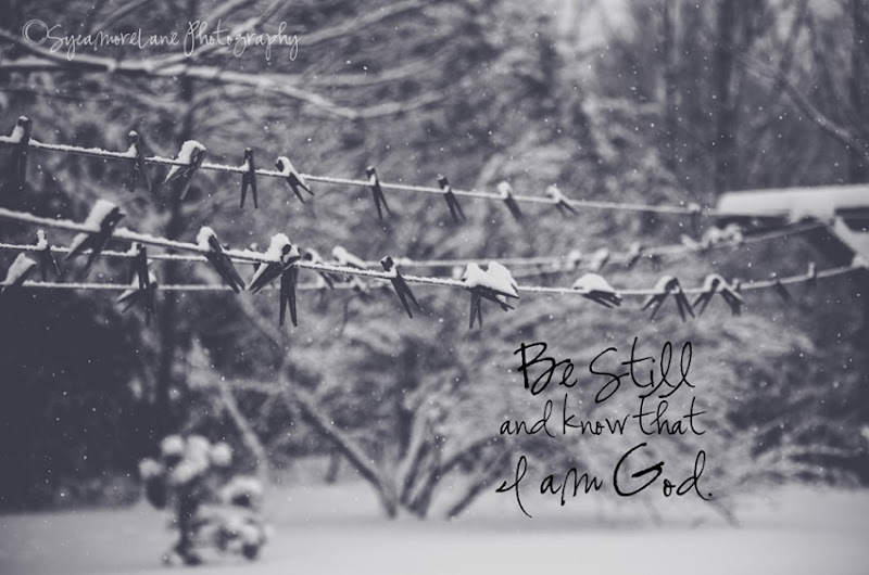 Psalm 46;10-SycamoreLane Photography-web