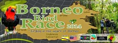 [borneo-bird-race16.jpg]
