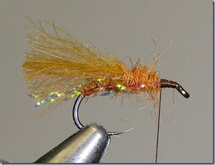 clip_image018 clip_image018