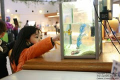 IMG_3106 IMG_3106