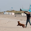 _MG_7579.jpg