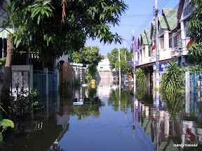 พ่อพู่กันกลับบ้านไปเตรียมบ้านให้พร้อมรับน้ำระลอกใหญ่ที่กำลังจะมา