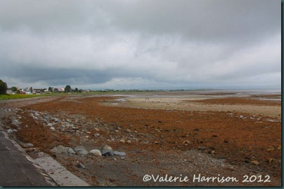 11-sandhead 11-sandhead