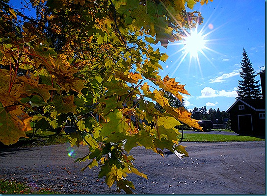 ruska makkarakoski 023 ruska makkarakoski 023