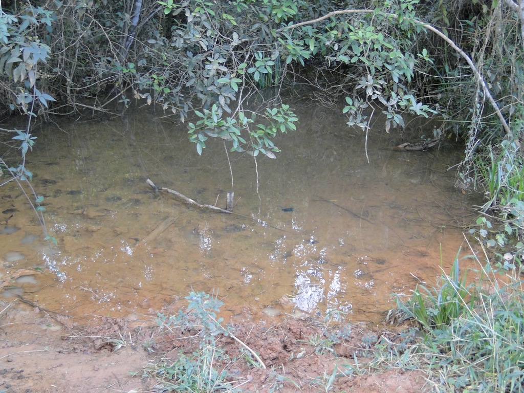 [DSC08799%255B5%255D.jpg]