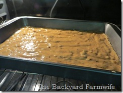 Cocoa Cobana Mocha Banana Cake - The Backyard Farmwife
