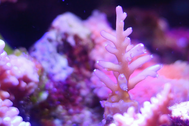 2012_%2525207_29_%2525201_22.jpg