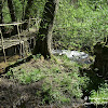 Zaskórz -ruiny młyna dsc06307.jpg
