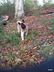 bella.jpg
