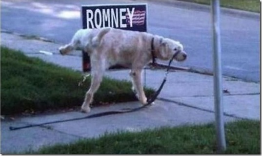 viral-picdump-pics-28423f