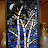 DSC08794-1.JPG