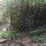 Road to Hana: Pit Stop
