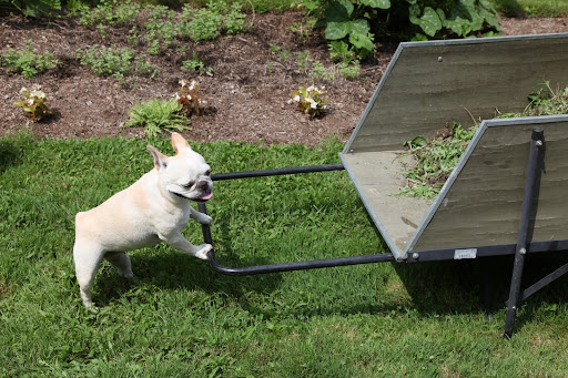 Gyurme, you stay put.  I'll run this cart up to the compost pile, lickety-split!  Then I'll bring it back and we can fill it again.  I see plenty of weeds in that garden over there!