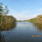 IMG_8035.JPG