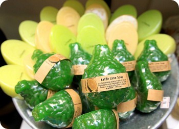 Soapy_Soap02 Soapy_Soap02