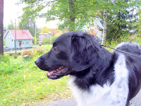 S5031010.JPG
