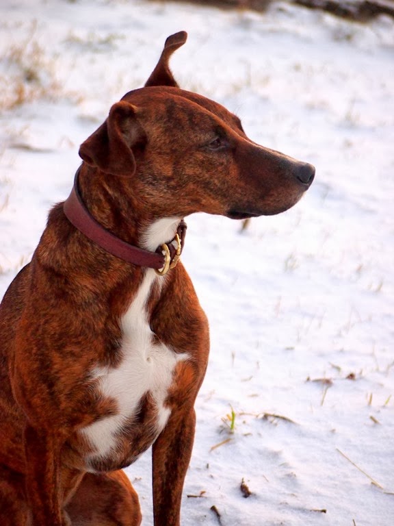 [5%2520Dec%252010%255B3%255D.jpg]