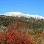 IMG_8143.JPG