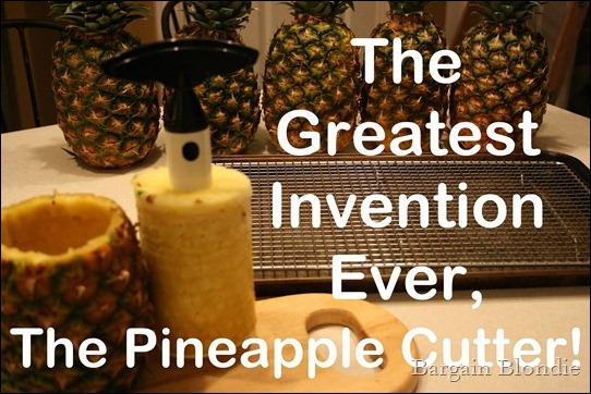 The greatest invention, the pineapple cutter!