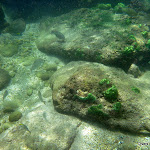 DRK 42nd trip 1-5-12 - P1150248.JPG