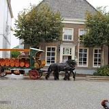 IMG_2337.jpg