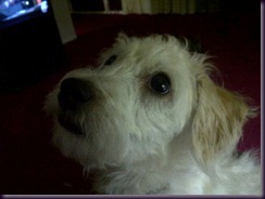loulouclose