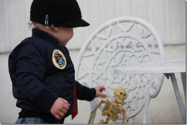 halloween dekor IMG_8163