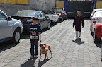 Arruguitas en sus primeros paseos