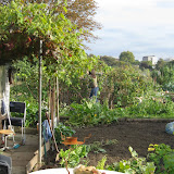 Fulham Palace Meadows Allotments