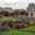 Paris - Tuileries