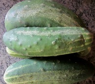 IMG_6300 IMG_6300